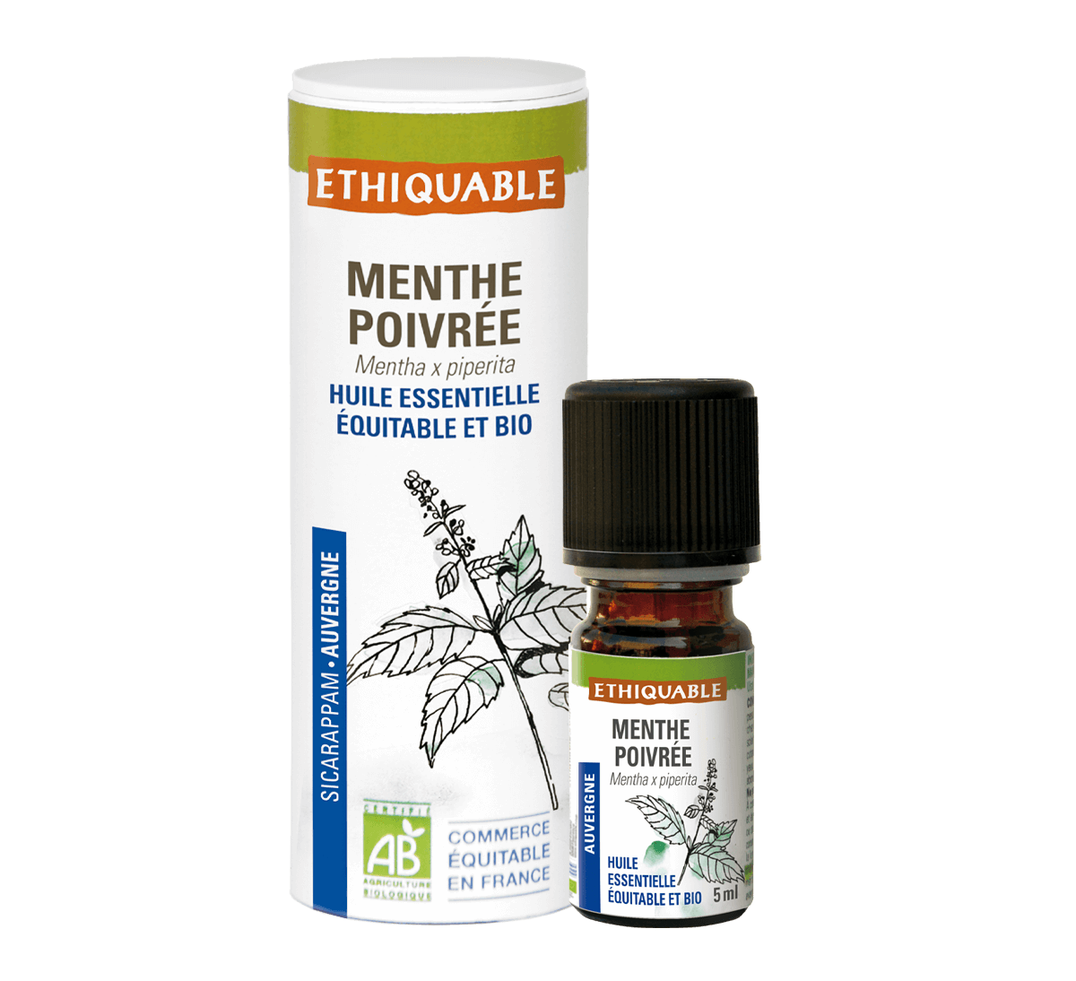 Huile essentielle de Menthe poivrée BIO (Mentha Piperita) - 10 ml