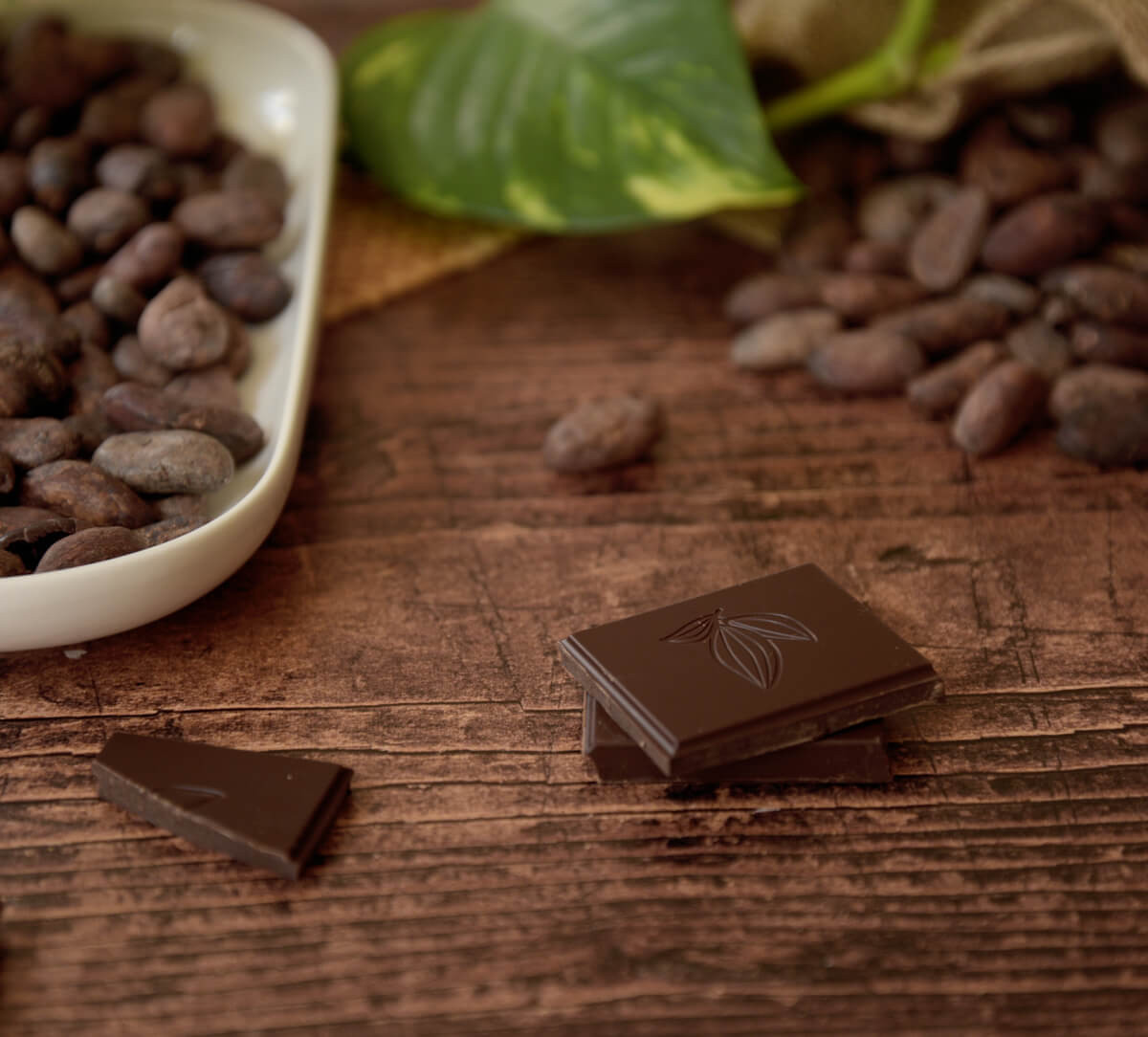 Carrés de chocolat noir 88% de Côte d'Ivoire bio et équitable