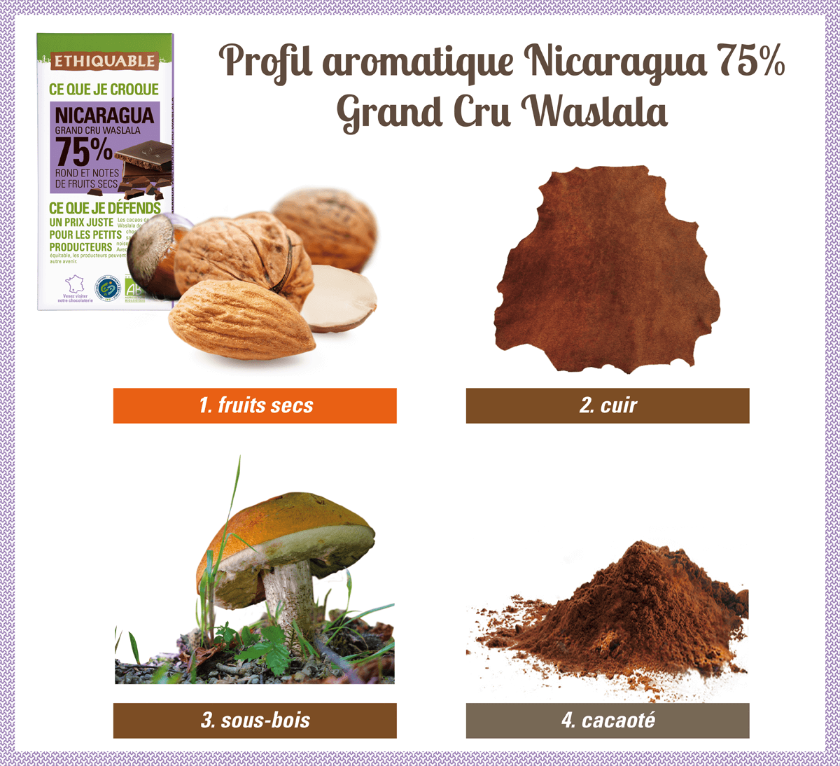 Profil aromatique chocolat noir 75% de cacao du Nicaragua Grand Cru Waslala bio et équitable