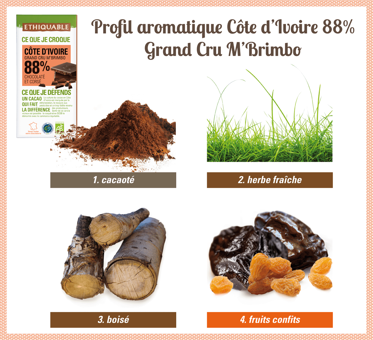 Profil aromatique dhocolat noir 88% de Côte d'Ivoire Grand cru M'Brimbo bio et équitable