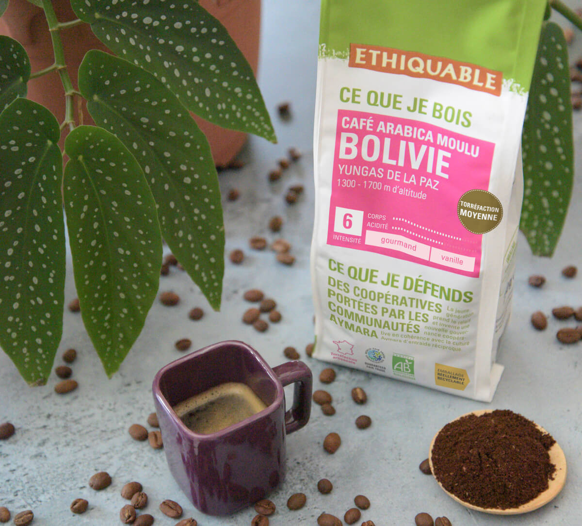 Paquet de café moulu de Bolivie, bio et équitable, en format 250g