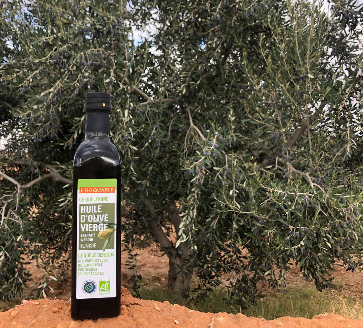 Bouteille d'huile d'olive vierge bio et équitable de Tunisie. Première pression à froid.