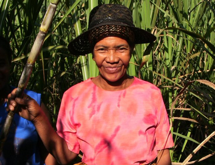 Sucre complet de canne Madagascar bio ETHIQUABLE : le sachet de 750g à Prix  Carrefour